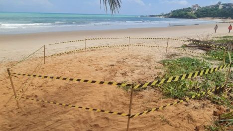 Prefeitura de Parnamirim isola área onde está situado ninho de tartaruga. Foto: Prefeitura de Parnamirim.