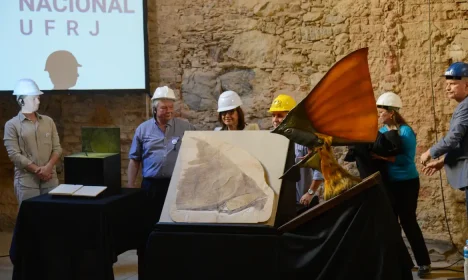 Rio de Janeiro (RJ), 07/05/2024 – Parte dos fósseis recebidos são apresentados durante evento no Museu Nacional, na Quinta da Boa Vista, no Rio de Janeiro. Foto: Tomaz Silva/Agência Brasil