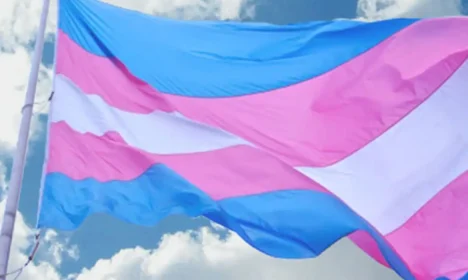 São Paulo (SP), 16/04/2025 - Bandeira da Associação Nacional de Travestis e Transexuais. Foto: Antra/Divulgação