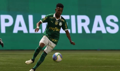 Estêvão _ palmeiras