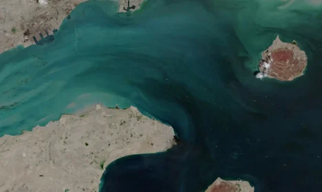 Imagem de satélite mostra movimento de navios no Estreito de Ormuz
2 de abril de 2026
UNIÃO EUROPEIA/COPERNICUS SENTINEL-2/Handout via REUTERS