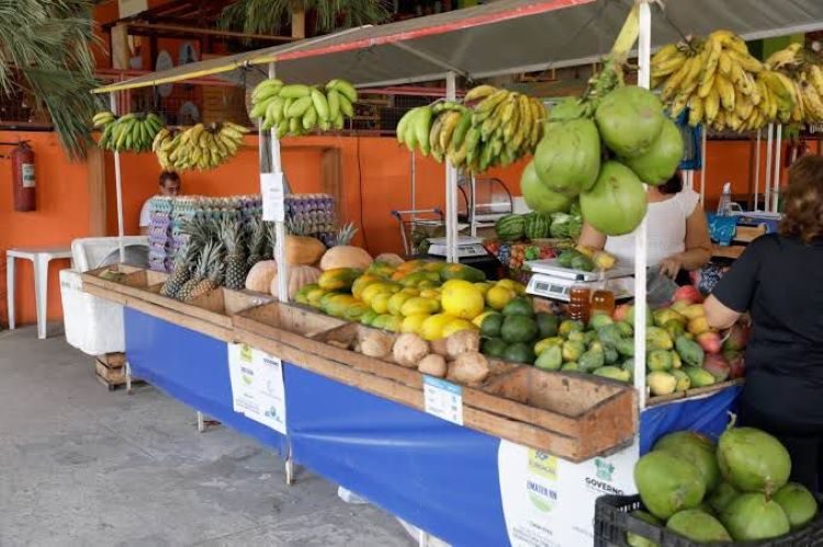 FEIRA RN DA AGRICULTURA 22