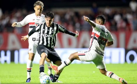 (Foto: Vitor Silva/Botafogo)