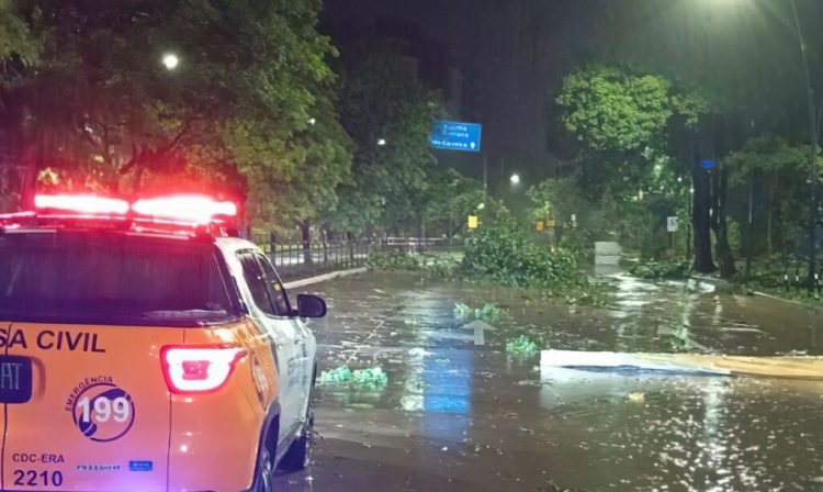 Defesa Civil de Porto Alegre está com todas as equipes na rua atuando nas ocorrências oriundas do temporal
Temos registros de muitas quedas de árvores. Foto: Defesa Civil/Porto Alegre