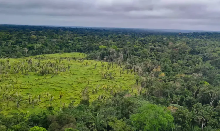 14/06/2023 - Amazonas - A Polícia Federal e o ICMBIO realizam nesta semana a Operação ''Overflight''. Os trabalhos visam à repressão ao desmatamento ilegal, à extração irregular de madeira e à invasão de terras públicas no interior da Floresta Nacional do Iquiri - FLONA IQUIRI. Foto: Polícia Federal/Gov.Br