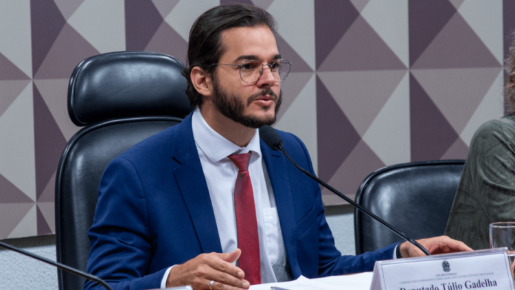 Tulio Gadelha em comissão da Câmara dos Deputados / Foto: reprodução