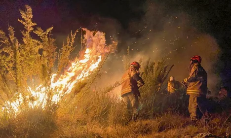 Rio de Janeiro (RJ) 16/06/2024 - Incêndio do Parque Nacional de Itatiaia.
Foto: Corpo de Bombeiros RJ/Divulgação