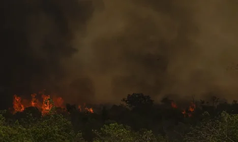 Brasília (DF), 16/09/2024 - Grandes focos de incêndio atingem áreas do Parque Nacional de Brasília. Foto: Marcelo Camargo/Agência Brasil