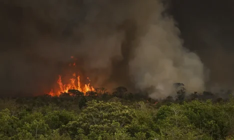 Brasília (DF), 16/09/2024 - Grandes focos de incêndio atingem áreas do Parque Nacional de Brasília. Foto: Marcelo Camargo/Agência Brasil