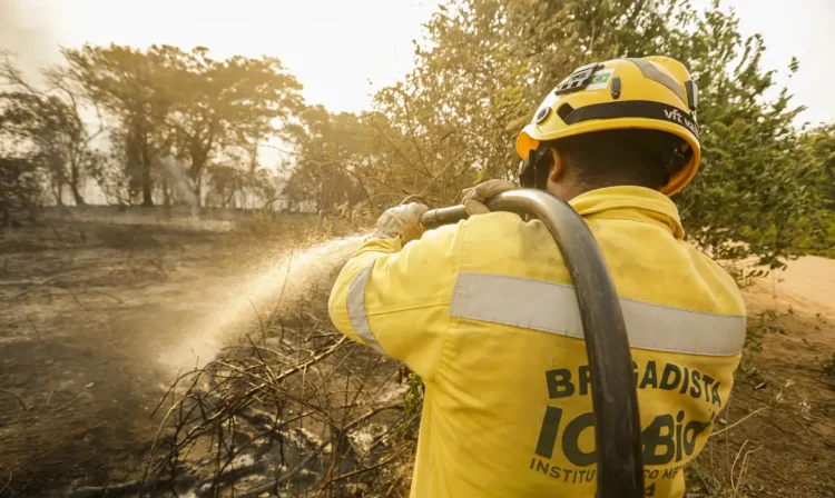 Porto Jofre (MT) 17/11/2023 – Brigadistas do ICMBIO fazendo resfriamento do fogo, durante incêndio florestal que atige o Pantanal.
Foto: Joédson Alves/Agência Brasil