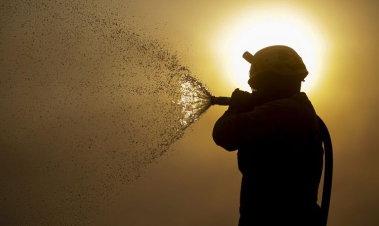 Porto Jofre (MT) 17/11/2023 – Brigadista do ICMBIO fazendo resfriamento do fogo, durante incêndio florestal que atige o Pantanal.
Foto: Joédson Alves/Agência Brasil