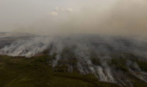 Porto Jofre (MT) 16/11/2023 –Brigadistas do ICMBIO combatem incêndio florestal que atinge o Pantanal
Foto: Joédson Alves/Agência Brasil