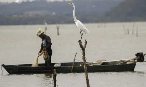 Maceió (AL) 18/12/2023 – Um pescador é visto pescando na lagoa. A pesca na região foi probida após rompimento da mina n°18 da mineradora Baskem na lagoa de Mundaú.
Foto: Joédson Alves/Agência Brasil