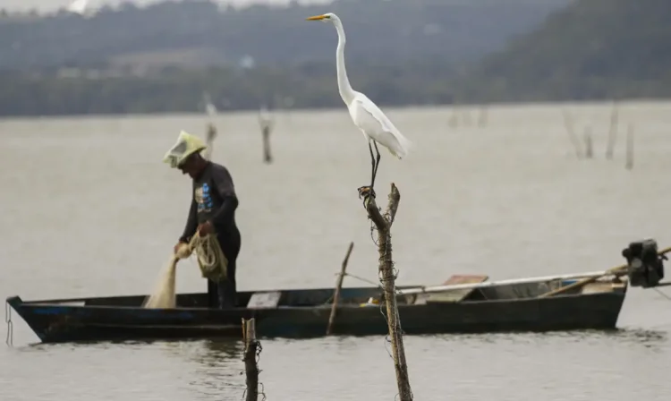 Maceió (AL) 18/12/2023 – Um pescador é visto pescando na lagoa. A pesca na região foi probida após rompimento da mina n°18 da mineradora Baskem na lagoa de Mundaú.
Foto: Joédson Alves/Agência Brasil
