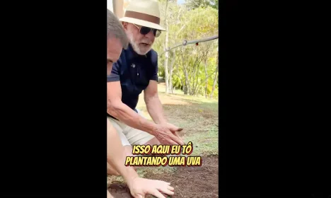 Rio de Janeiro (RJ), 17/08/2025 - Presidente Luiz Inácio Lula da Silva é visto plantando uva.
Frame Lulaoficial/intagram