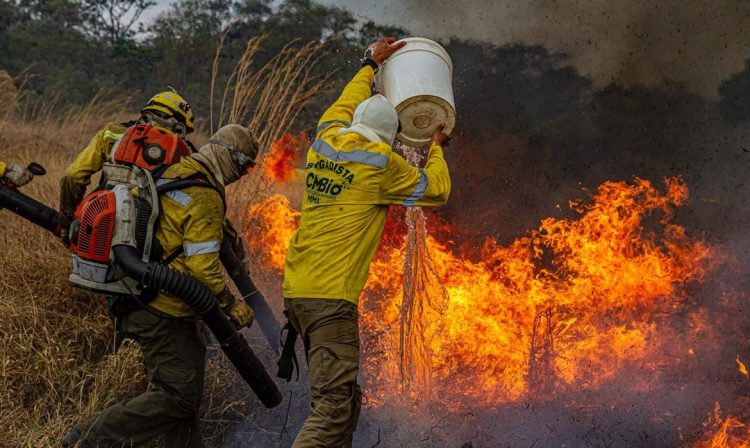 Cavalcante (GO), 13/10/2025 - Incêndio florestal na Chapada dos Veadeiros. Foto: ICMBio/Divulgação