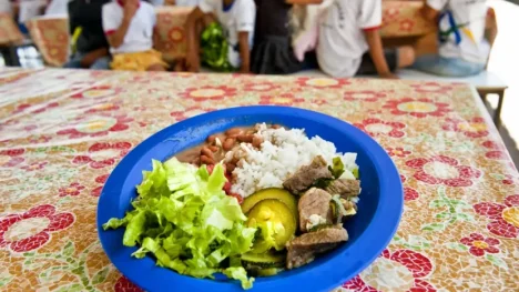 merenda escolar