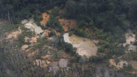 Fogo foi intensificado pelas secas. Foto - Fernando Frazão/Agência Brasil