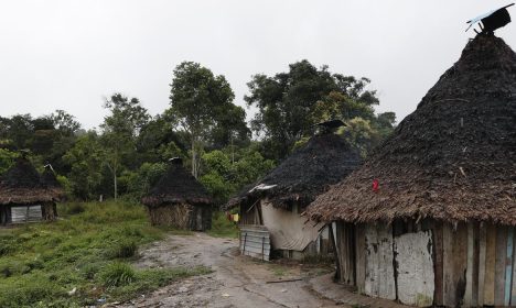 Surucucu (RR), 10/02/2023 - A Maloca de Xerimifique, em Surucucu, na Terra Indígena Yanomami. Foto: Fernando Frazão/Agência Brasil