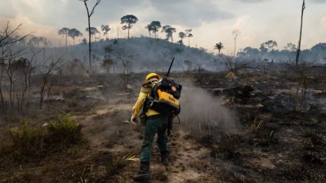 onda de incêndios 2