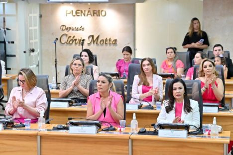 OUTUBRO ROSA ASSEMBLEIA RN BLOG