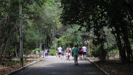 Parque das Dunas. Foto: Idema/Reprodução.