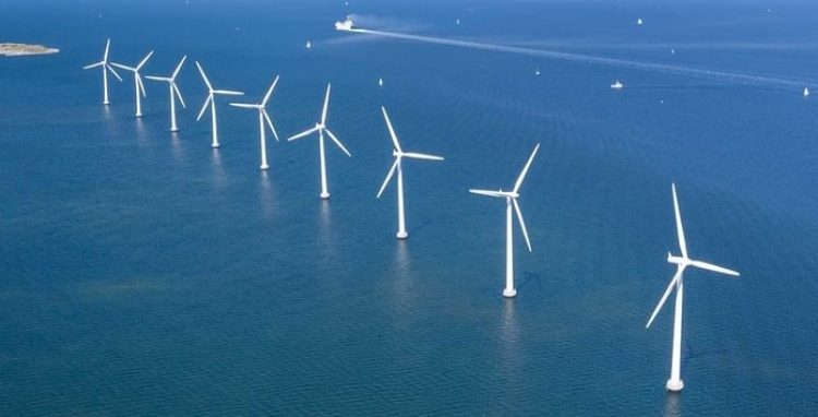 Parque de energia éolica offshore. Foto: Reprodução
