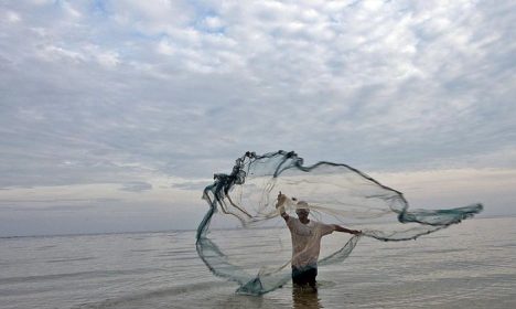 A pesca fantasma acontece quando o material dos pescadores fica perdido no mar