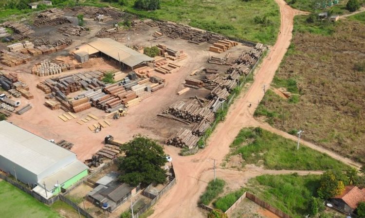 Polícia Federal faz operação em Terra Indígena Karipuna, em Rondônia.