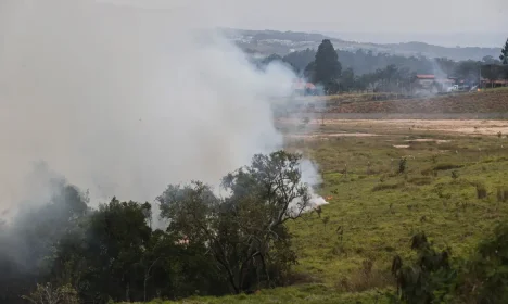 São Paulo (SP) 24/08/2024 - Foco de incêndio próximo a rodovia presidente Castelo Branco, o governo de São Paulo cria gabinete de crise para combate a incêndios
Estradas são interditadas e 30 municípios estão em alerta máximo
Foto: Paulo Pinto/Agência Brasil