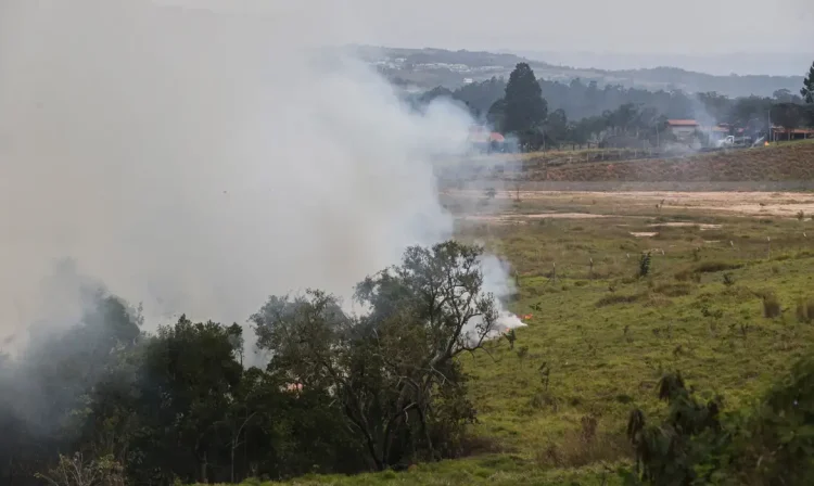 São Paulo (SP) 24/08/2024 - Foco de incêndio próximo a rodovia presidente Castelo Branco, o governo de São Paulo cria gabinete de crise para combate a incêndios
Estradas são interditadas e 30 municípios estão em alerta máximo
Foto: Paulo Pinto/Agência Brasil