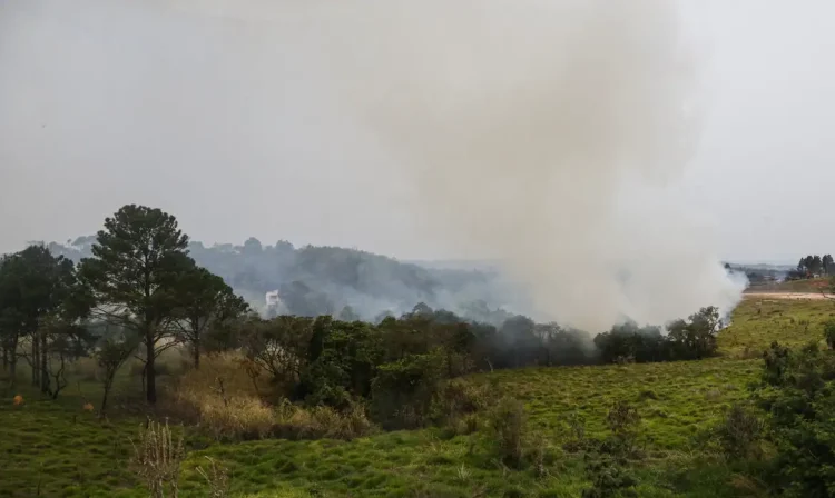 São Paulo (SP) 24/08/2024 - Foco de incêndio próximo a rodovia presidente Castelo Branco, o governo de São Paulo cria gabinete de crise para combate a incêndios
Estradas são interditadas e 30 municípios estão em alerta máximo
Foto: Paulo Pinto/Agência Brasil