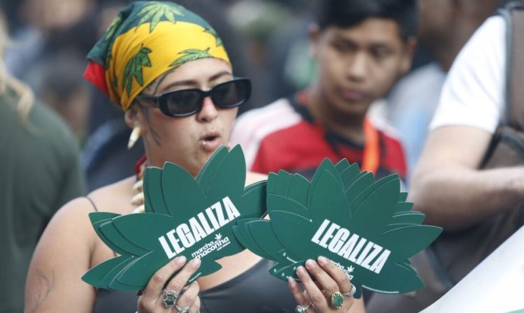 São Paulo (SP), 17/06/2023 - 15ª edição da Marcha da Maconha São Paulo na Avenida Paulista  - Tema “Antiproibicionismo por uma questão de classe – Reparação por necessidade”. Foto Paulo Pinto/Agência Brasil