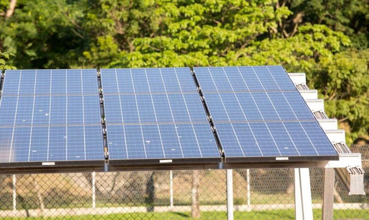 Placas de energia solar instaladas para gerar eletricidade