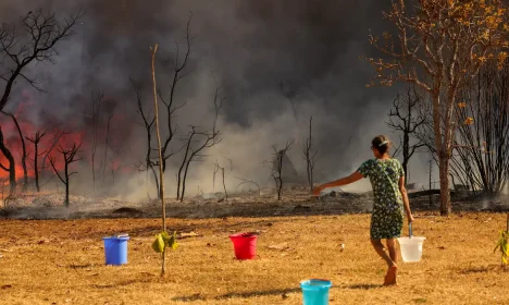 Brasília, DF 15-09-2024 Um Incendio atingiu o Parque Nacional de Brasília. Bombeiros e populares tentavam conter as chamas Foto: Fabio Rodrigues-Pozzebom