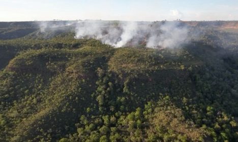 Chapada dos Guimarães. 29/12/2023 Incêndio atinge divisa entre santuário de elefantes e fazenda em Chapada dos Guimarães (MT) Foto Instagram/ Elefantes Brasil.