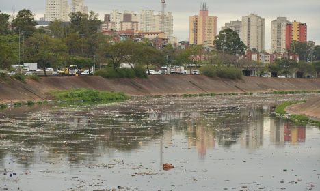 Acúmulo de lixo no rio Tietê, após chuva durante a manhã.