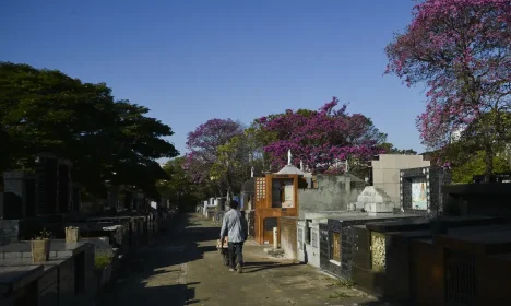 Cemitério Municipal Quarta Parada