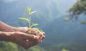 Semana do Meio Ambiente em Caicó