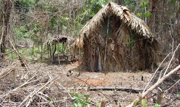 Índio Isolado da TI Tanaru - O sobrevivente que a Funai acompanha há 22 anos