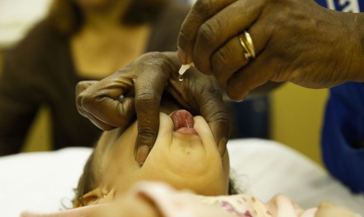 Crianças com idade entre 1 ano e menores de 5 são vacinadas no posto de saúde Heitor Beltrão, na Tijuca, zona norte do Rio, para receber a dose contra a pólio e contra o sarampo.
Foto: Tomaz Silva/Agência Brasil/Arquivo