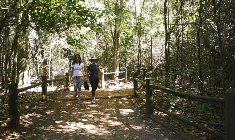 Turistas e moradores fazem trilhas no Parque Nacional de Brasília