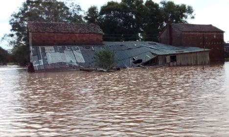 Chuvas no RS: impactos na vida de quilombolas e pequenos agricultores. - Unidade produtiva camponesa submersa. Perda total de plantio, produção, maquinário e infraestrutura.  Foto: Comunicação MPA