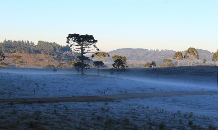 O amamancer de 28 de abril em Urupema foi  com os campos coberto de geada e os termômetros regitrando -5,4º C