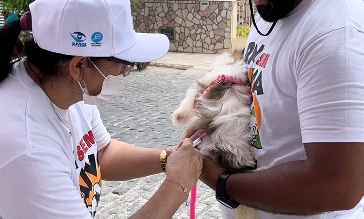 Animais foram vacinados contra raiva