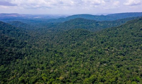 O vice-presidente da República, Hamilton Mourão, e os chefes de missões diplomáticas à Amazônia Oriental, fazem sobrevoo sobre a Floresta Nacional de Carajás e visita à mineradora Vale.