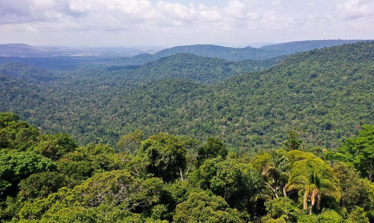 O vice-presidente da República, Hamilton Mourão, e os chefes de missões diplomáticas à Amazônia Oriental, fazem sobrevoo sobre a Floresta Nacional de Carajás e visita à mineradora Vale.