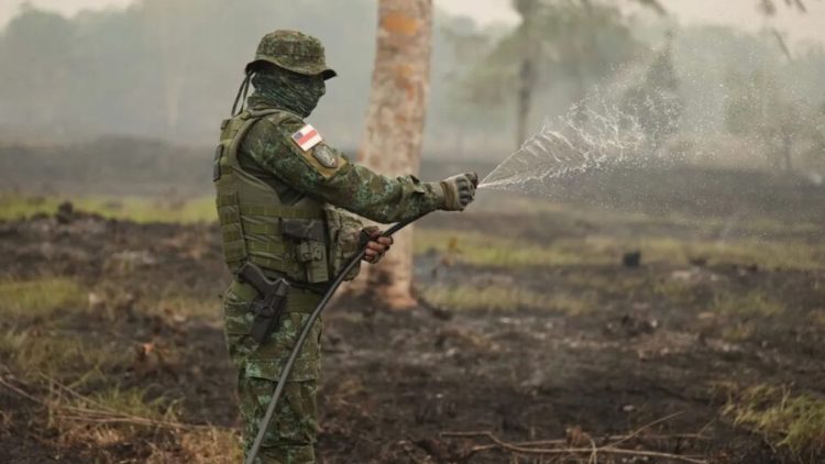 Policiais atuam contra queimadas no Amazonas. Foto: Polícia Militar do Amazonas