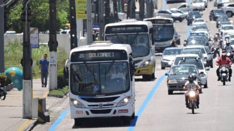 Linhas de ônibus em Natal. Foto: STTU.