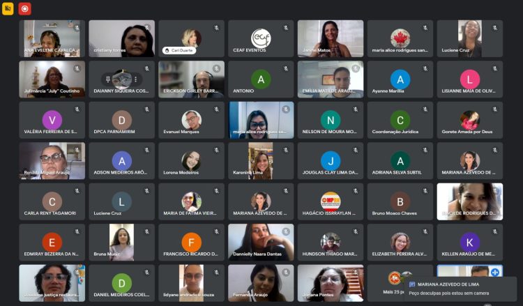 Print de uma tela de videoconferência, com a participação de várias pessoas.